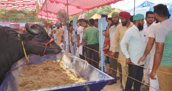 Farmers visited the Pashu Palan Mela on 2nd day(21-9-2018)